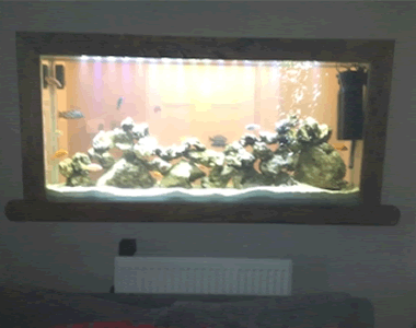 Aquarium Example